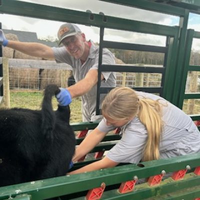 featherstone working